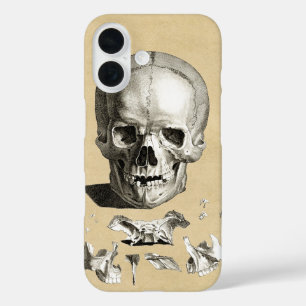 Anatomie van de schedel en de Botten iPhone 16 Hoesje