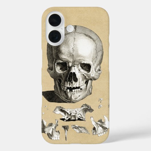 Anatomie van de schedel en de Botten Case-Mate iPhone Case (Achterkant)