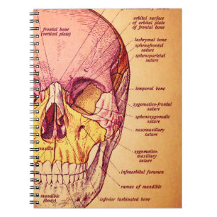 Anatomie van de schedel notitieboek