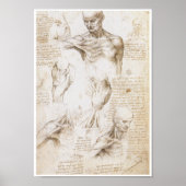 Anatomie van de Schouder, Leonardo da Vinci Poster (Voorkant)