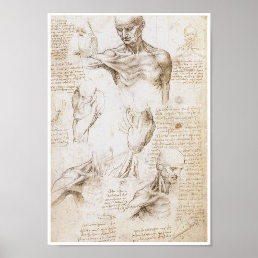 Anatomie van de Schouder, Leonardo da Vinci Poster (Voorkant)