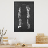 Anatomie van de wervelkolom Physical Therapy Art Poster (Keuken)