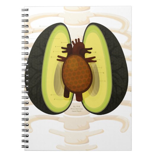 Anatomie van een advocaat notitieboek (Voorkant)