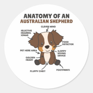 Anatomie van een Australische herder- en herderhaa Ronde Sticker