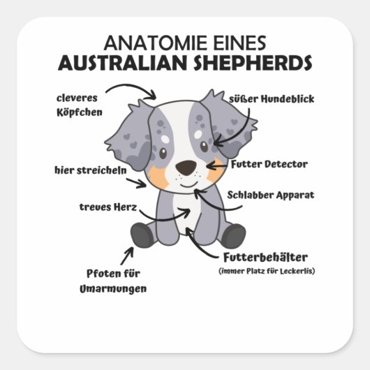 Anatomie van een Australische herder- en herderhaa Vierkante Sticker (Voorkant)