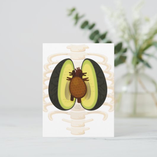 Anatomie van een Avocado Briefkaart (Staand voorkant)