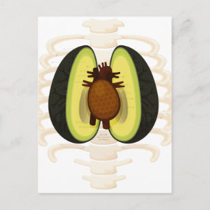 Anatomie van een Avocado Briefkaart