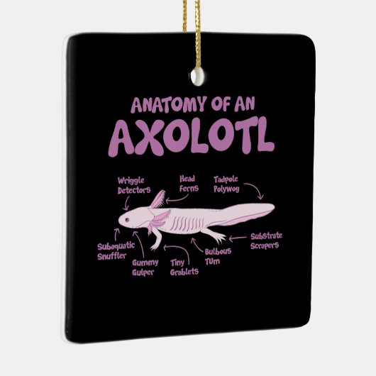 anatomie van een axolotl axolotls biologie science keramisch ornament (Rechts)