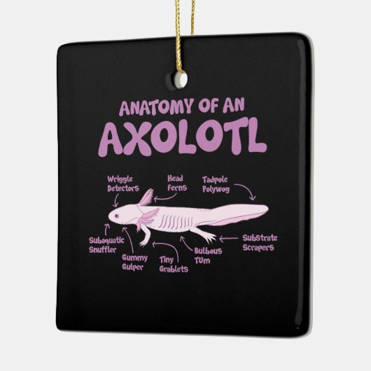 anatomie van een axolotl axolotls biologie science keramisch ornament (Links)