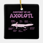 anatomie van een axolotl axolotls biologie science keramisch ornament (Voorkant)