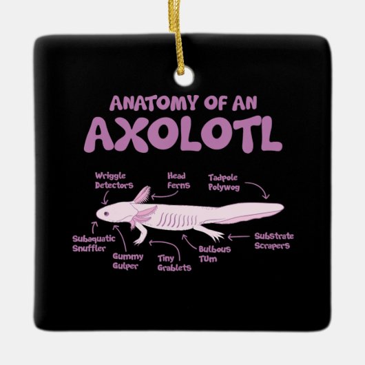 anatomie van een axolotl axolotls biologie science keramisch ornament (Voorkant)