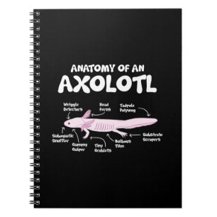 anatomie van een axolotl axolotls biologie science notitieboek