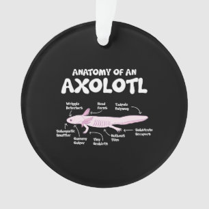 anatomie van een axolotl axolotls biologie science ornament