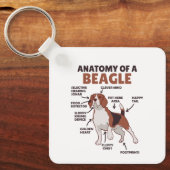 Anatomie van een beagle Cute Dogs Funny Dog Beagle Sleutelhanger (Voorkant)