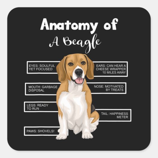 Anatomie van een beagle Funny Dog Lovers Gifts Vierkante Sticker (Voorkant)