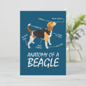 Anatomie van een beagle Hondenliefhebber (Staand voorkant)