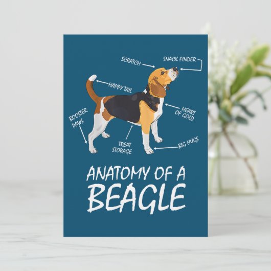 Anatomie van een beagle Hondenliefhebber (Staand voorkant)