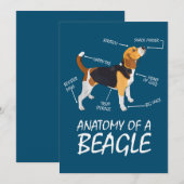 Anatomie van een beagle Hondenliefhebber (Voorkant / Achterkant)