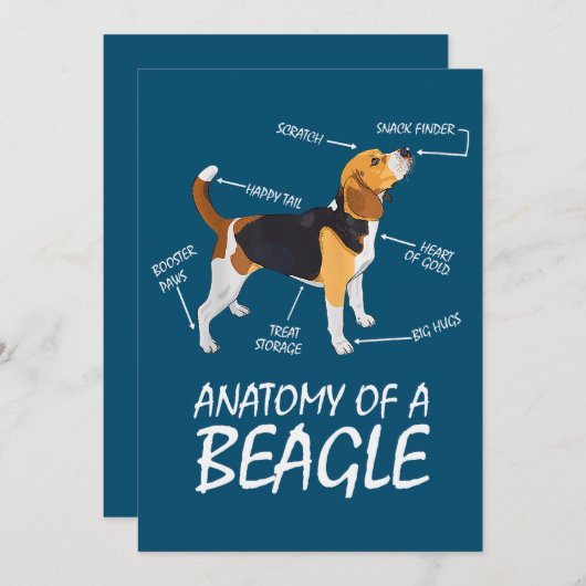 Anatomie van een beagle Hondenliefhebber (Voorkant / Achterkant)