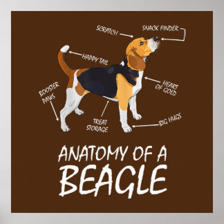 Anatomie van een beagle Hondenliefhebber Poster