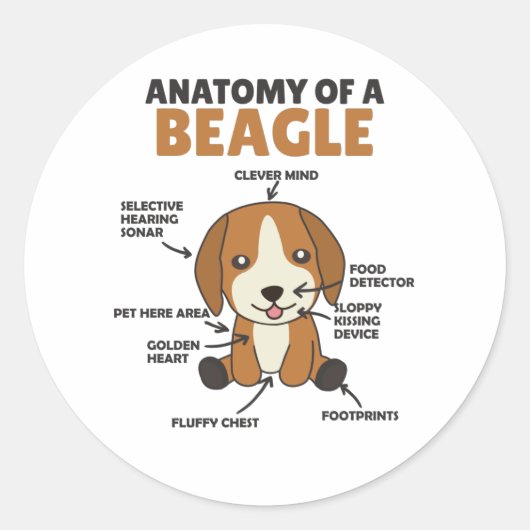 Anatomie van een beagle-koehandel ronde sticker (Voorkant)