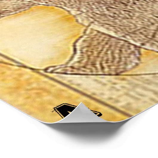 Anatomie van een Beer Poster (Hoek)