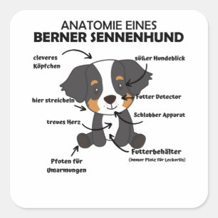 Anatomie van een bergachtige hond van de bergen vierkante sticker