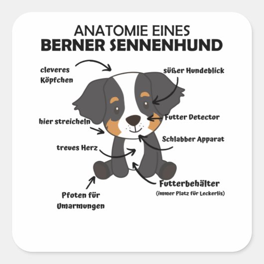 Anatomie van een bergachtige hond van de bergen vierkante sticker (Voorkant)