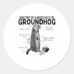 Anatomie van een bosmarmot of grondhoeder Grappig  Ronde Sticker