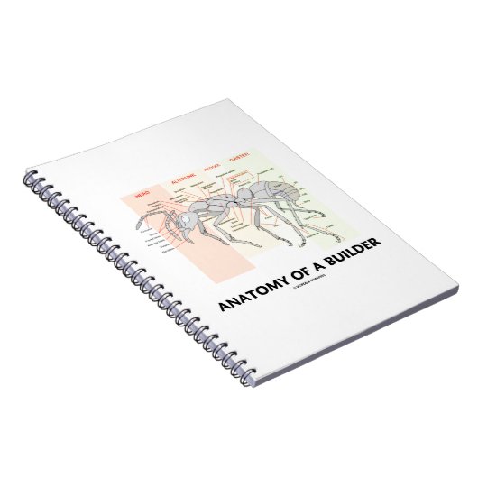 Anatomie van een bouwer (anatomie van de werker) notitieboek (Rechterzijde)