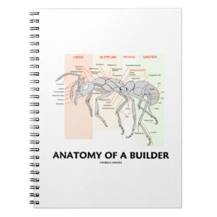 Anatomie van een bouwer (anatomie van de werker) notitieboek