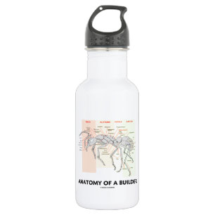 Anatomie van een bouwer (anatomie van de werker) waterfles 