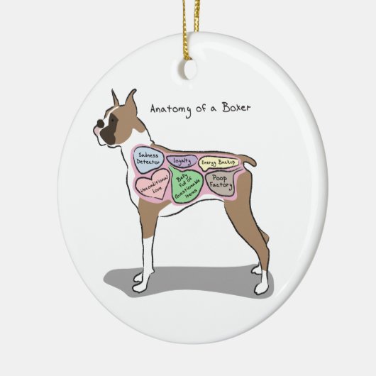 Anatomie van een Boxer Dog-cadeaus Keramisch Ornament (Links)