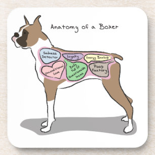 Anatomie van een Boxer Dog-cadeaus Onderzetter