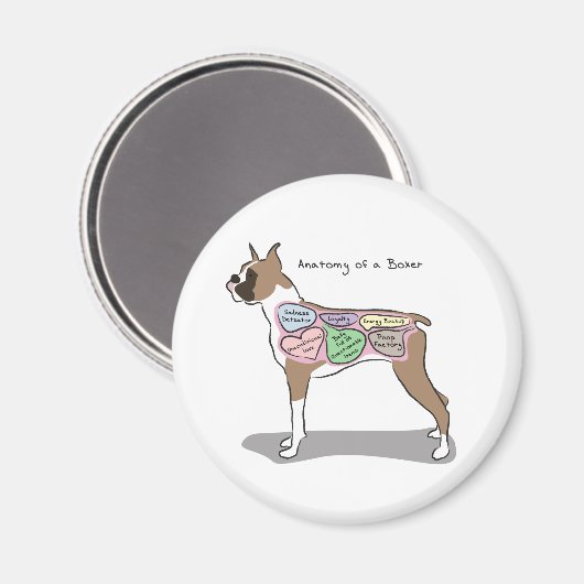 Anatomie van een Boxer Hond geschenken Magneet (Voorkant / Achterkant)