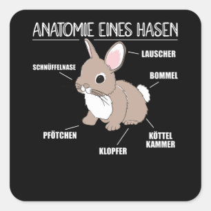 Anatomie van een bunny Funny Knob uitleg Vierkante Sticker