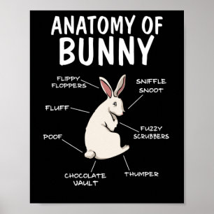 Anatomie van een Bunny Funny Rabbit Definition Poster