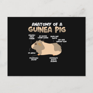 Anatomie van een cavia briefkaart