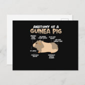 Anatomie van een cavia briefkaart (Voorkant / Achterkant)