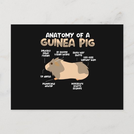 Anatomie van een cavia briefkaart (Voorkant)