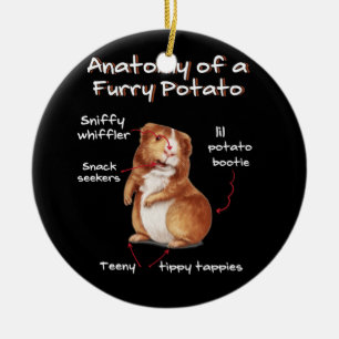 Anatomie van een cavia-schimmelig, fijngemaakt of keramisch ornament