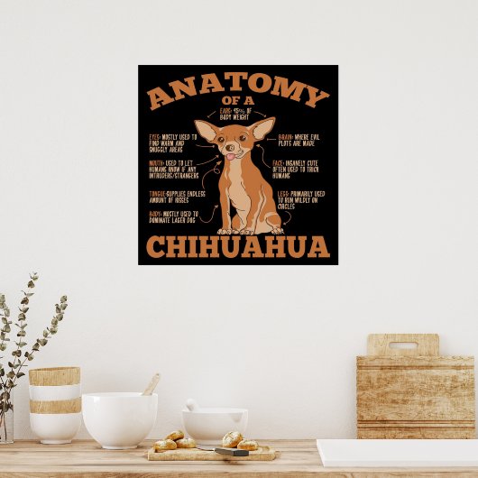 Anatomie van een Chihuahua Canvas Poster (Keuken)