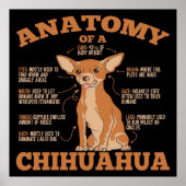 Anatomie van een Chihuahua Canvas Poster (Voorkant)