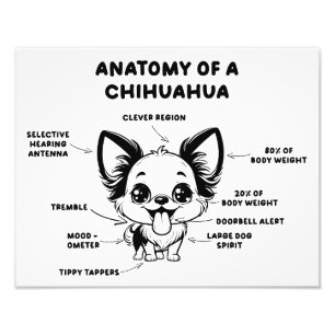Anatomie van een Chihuahua Funny Dog Print Foto Afdruk