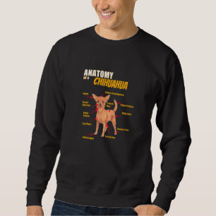 Anatomie Van Een Chihuahua Kleding Voor Hem En Haa Trui