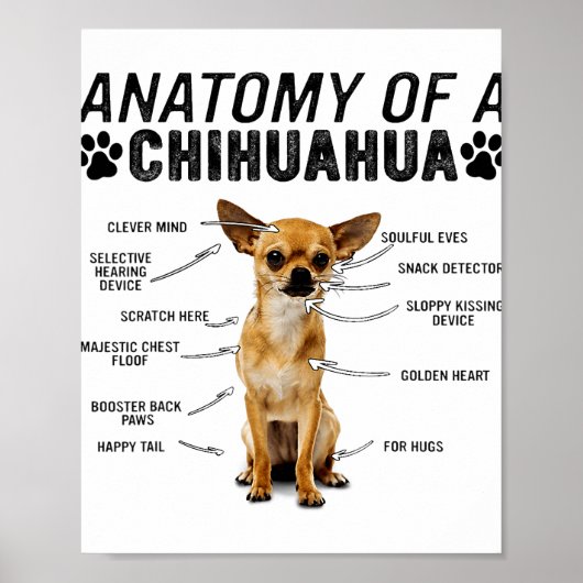 anatomie van een chihuahua - man van de liefhebber poster (Voorkant)