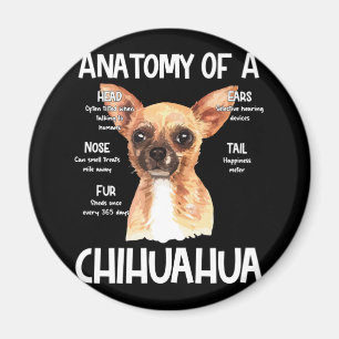 Anatomie van een Chihuahua voor Hondenliefhebbers Magneet