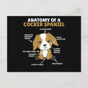 Anatomie van een Cocker Spaniel Cute Dogs Puppy Briefkaart
