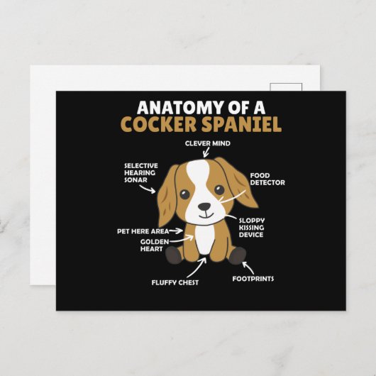 Anatomie van een Cocker Spaniel Cute Dogs Puppy Briefkaart (Voorkant / Achterkant)