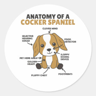 Anatomie van een Cocker Spaniel Cute Dogs Puppy Ronde Sticker